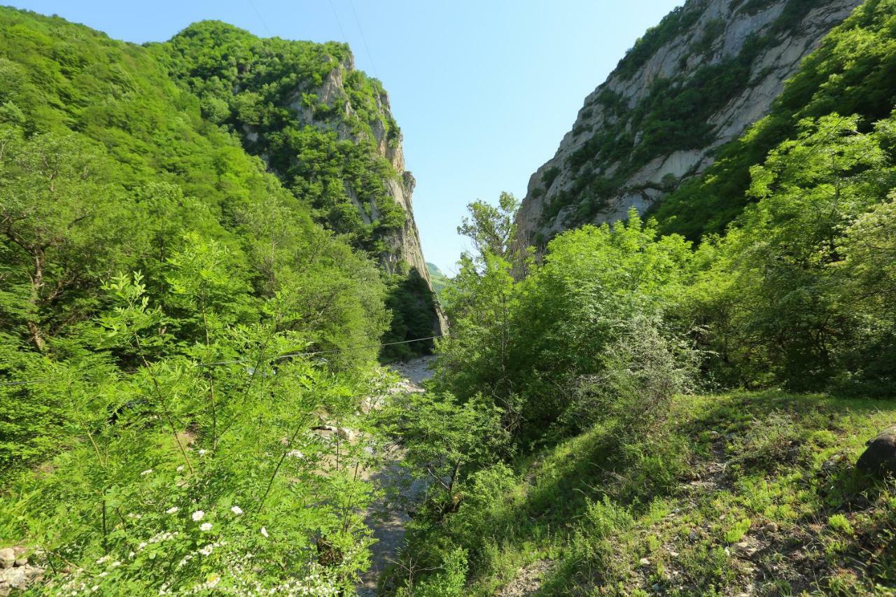 Quba Ugur Hotel Kültér fotó